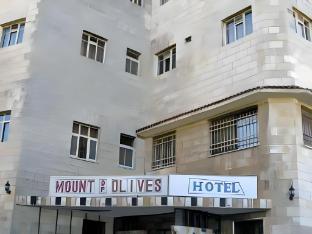 mount of olives hotel