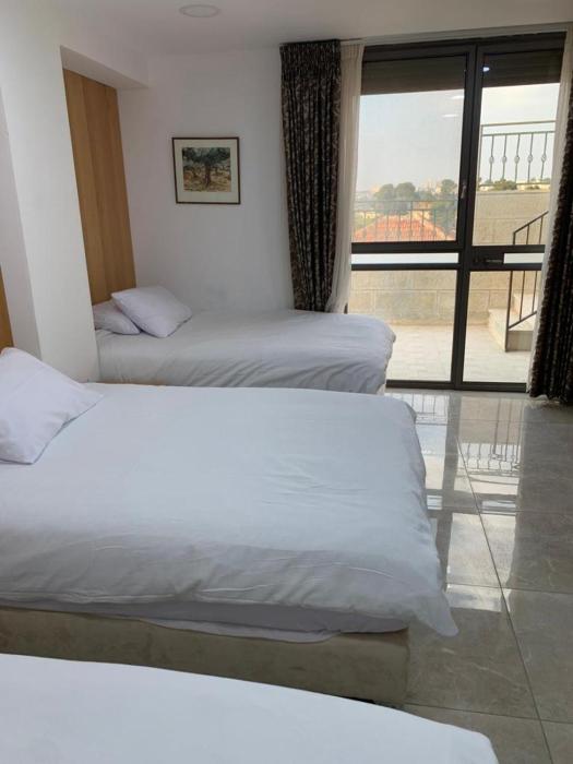 mount of olives hotel