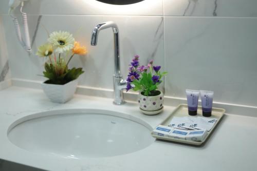 mount of olives hotel