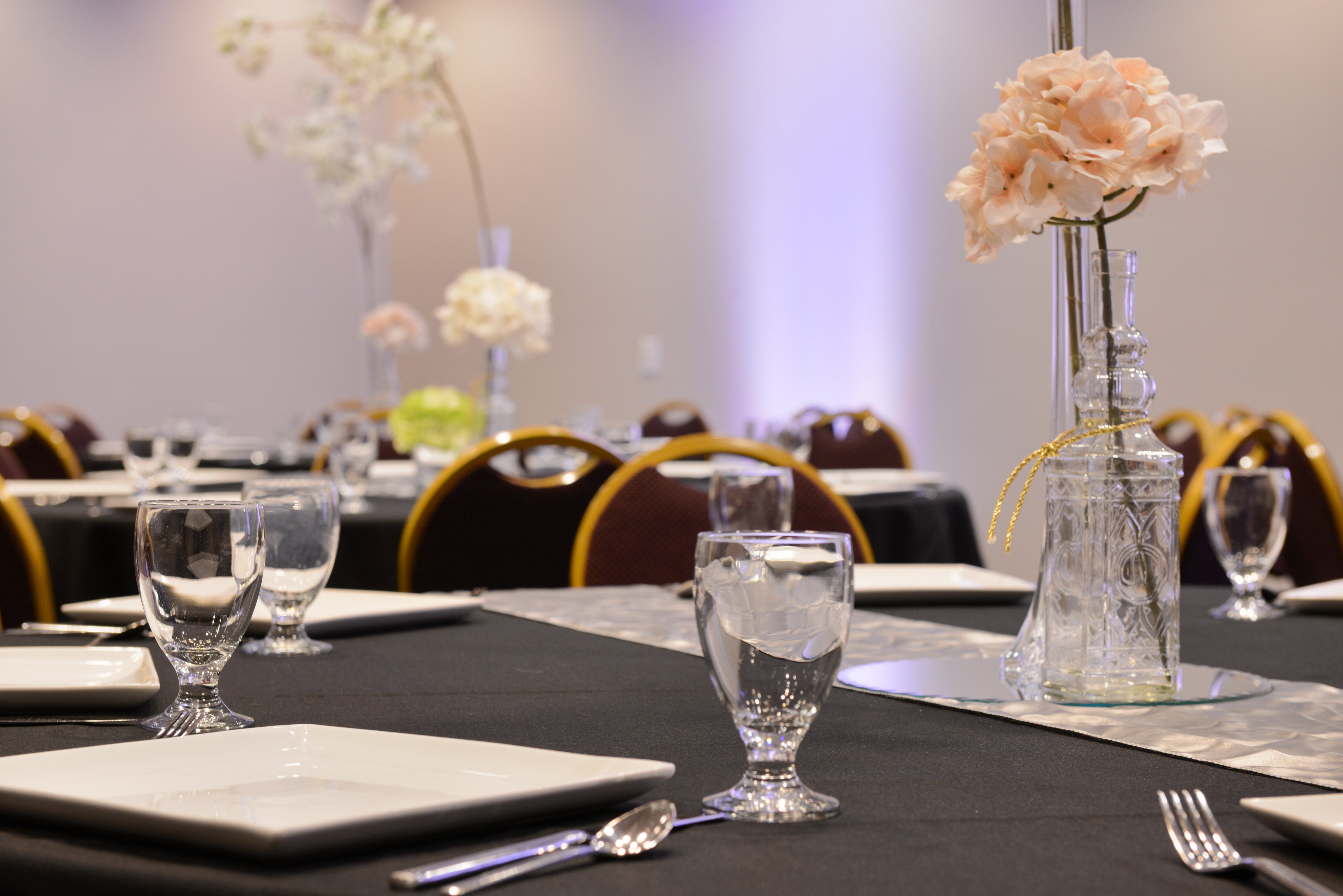 holiday inn kansas city airport by ihg