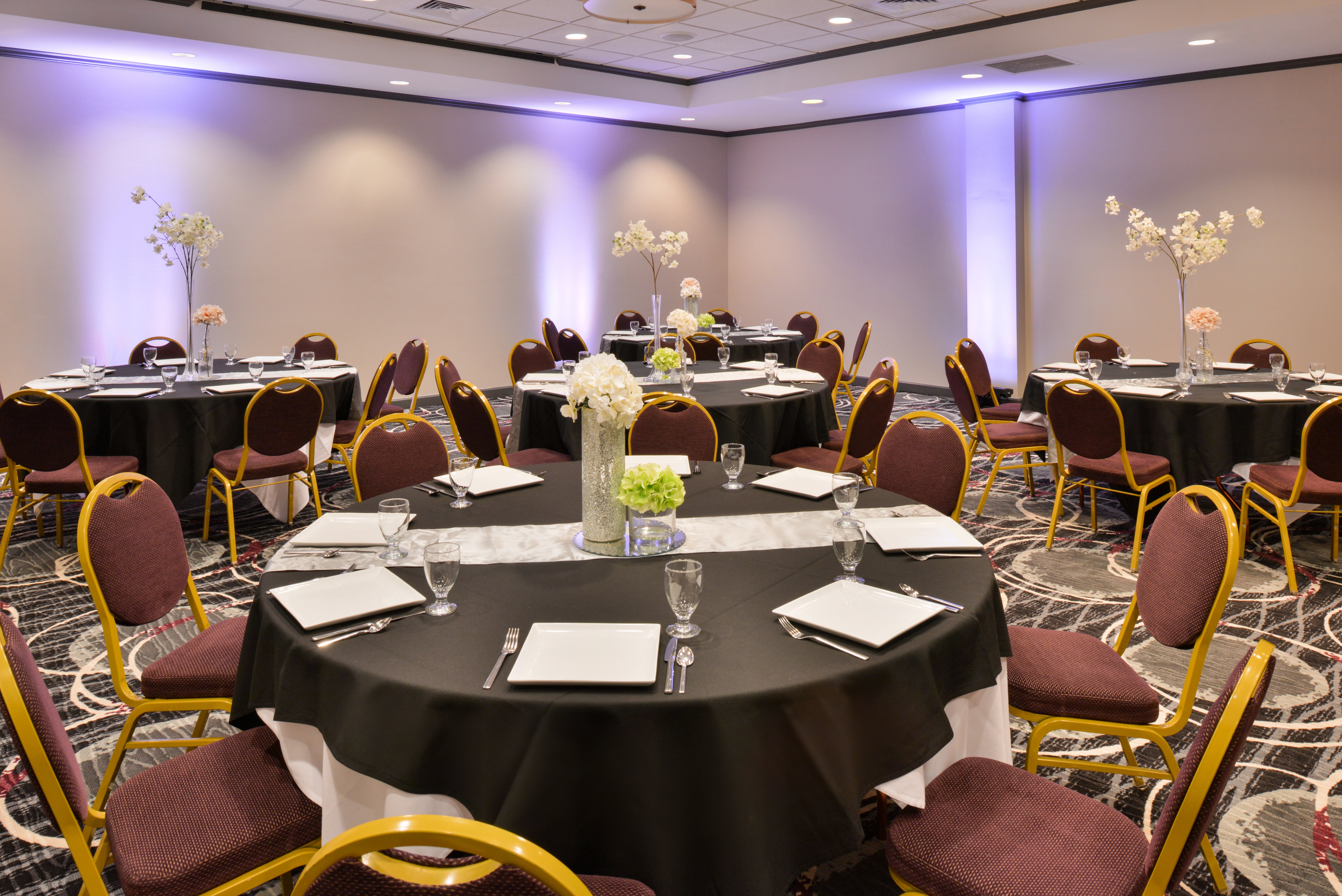 holiday inn kansas city airport by ihg