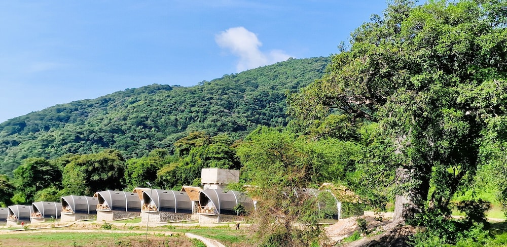 africa safari rift valley