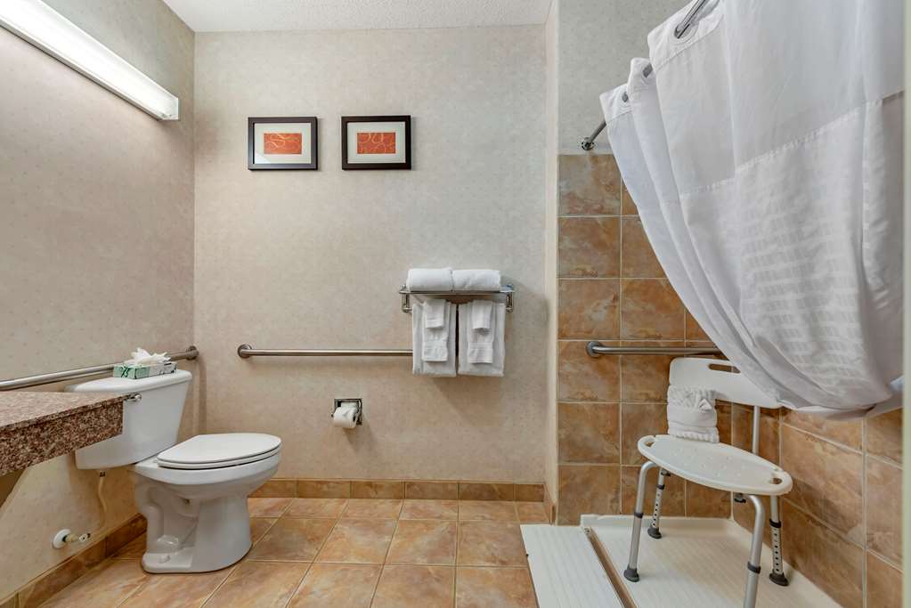 comfort suites castle rock