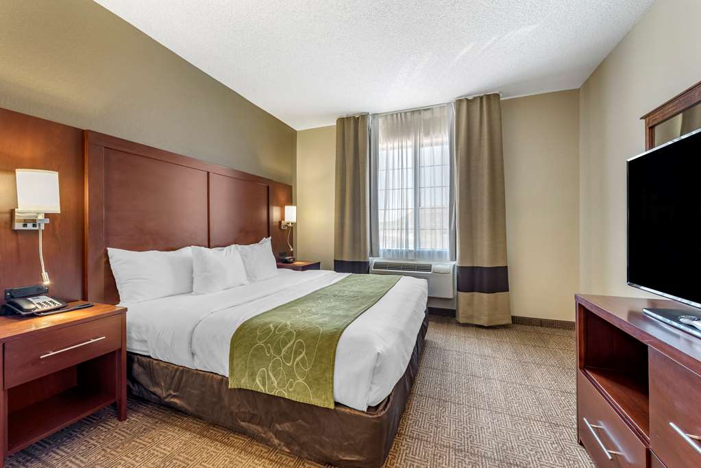 comfort suites castle rock