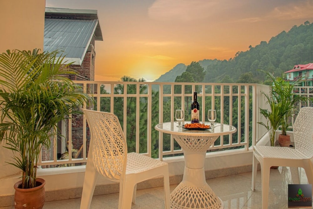 the green land kasauli