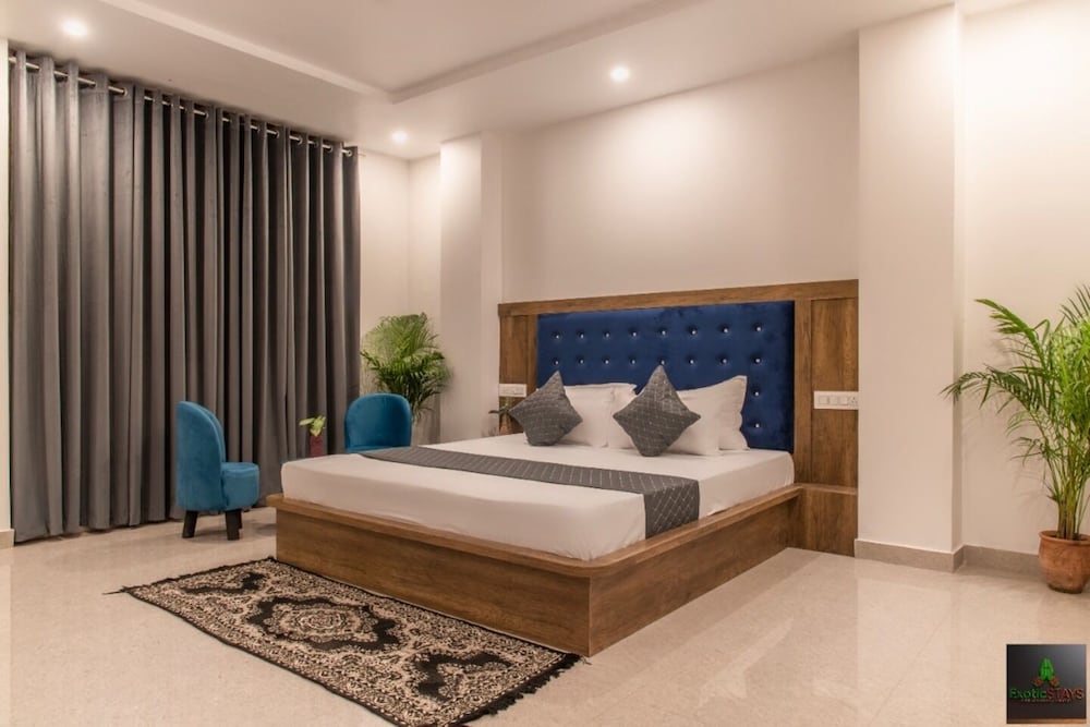 the green land kasauli