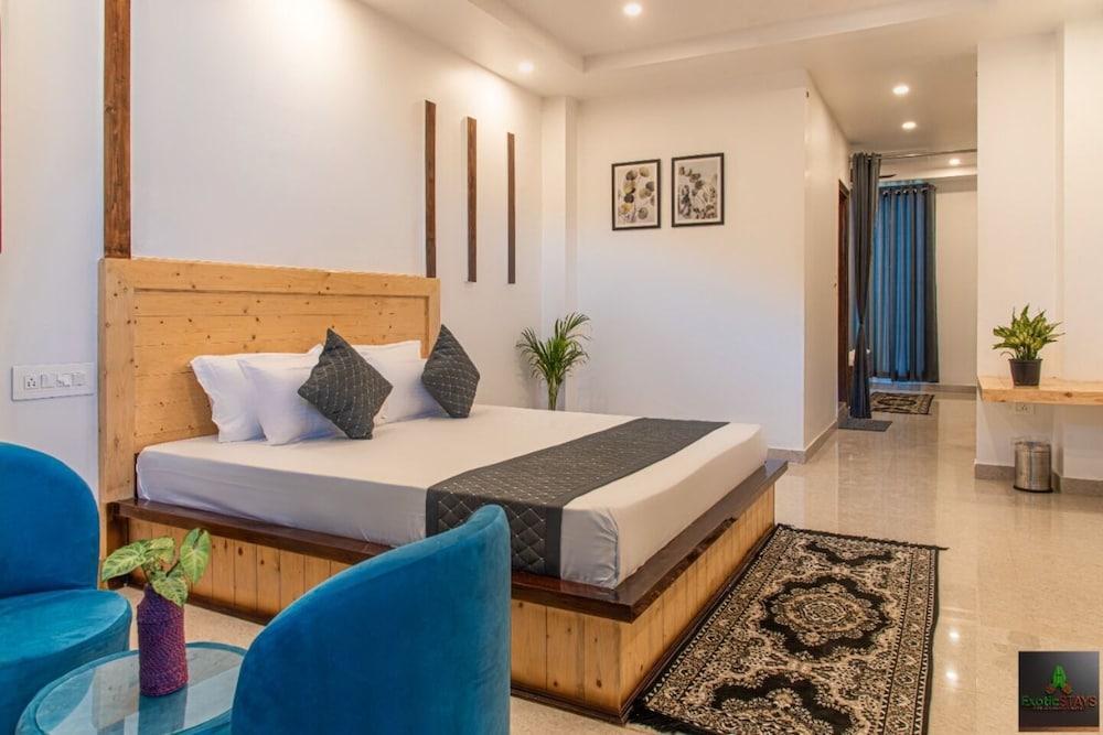 the green land kasauli