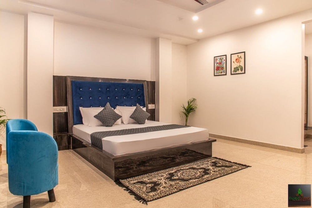 the green land kasauli