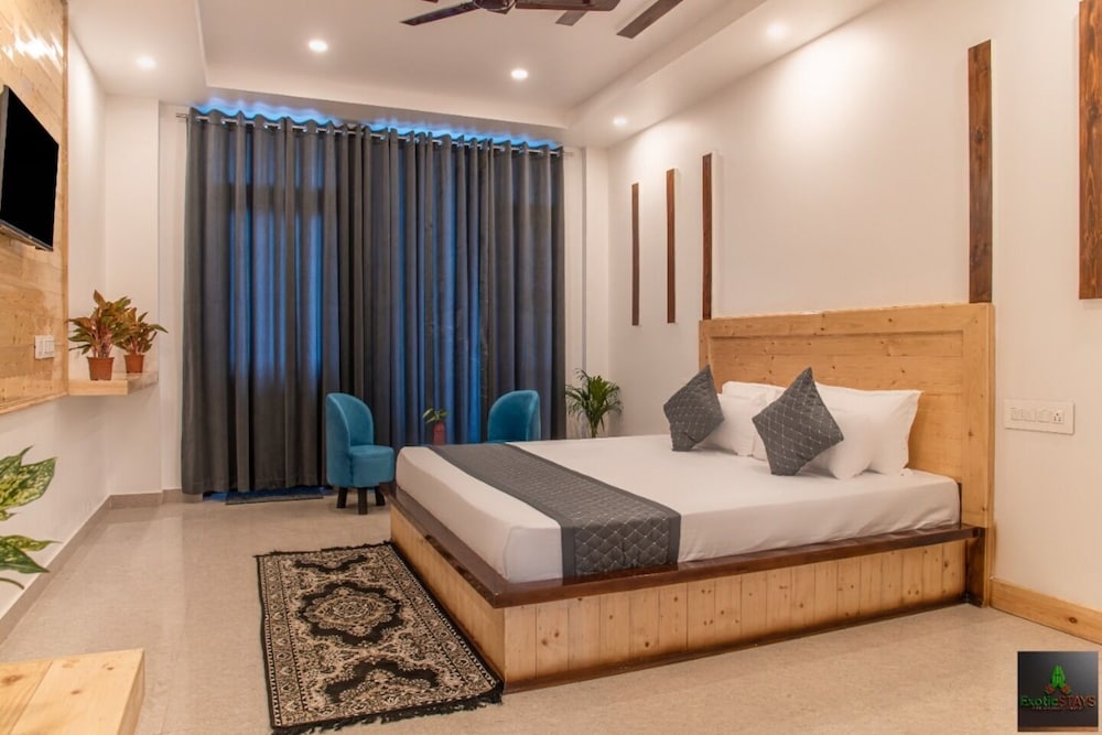 the green land kasauli