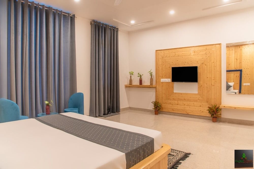 the green land kasauli