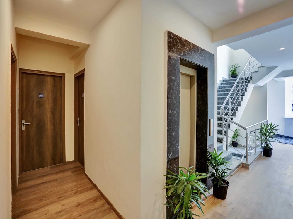 bird house south city ii