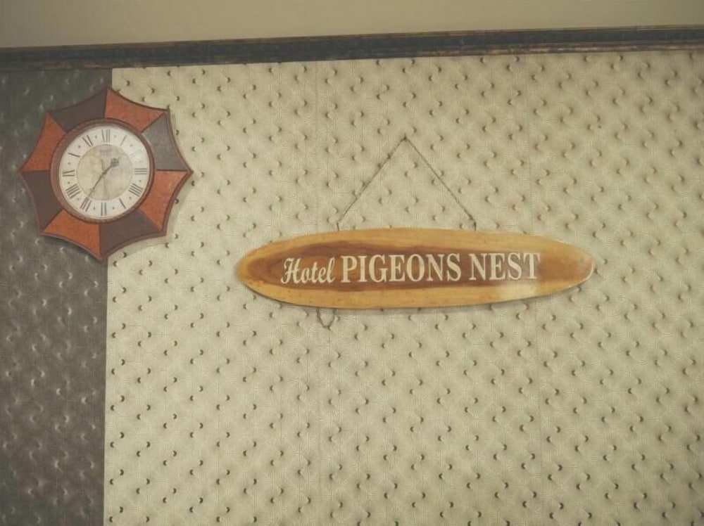 hotel pigeons nest