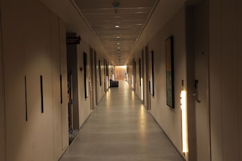 Apricot Motera,,3 star