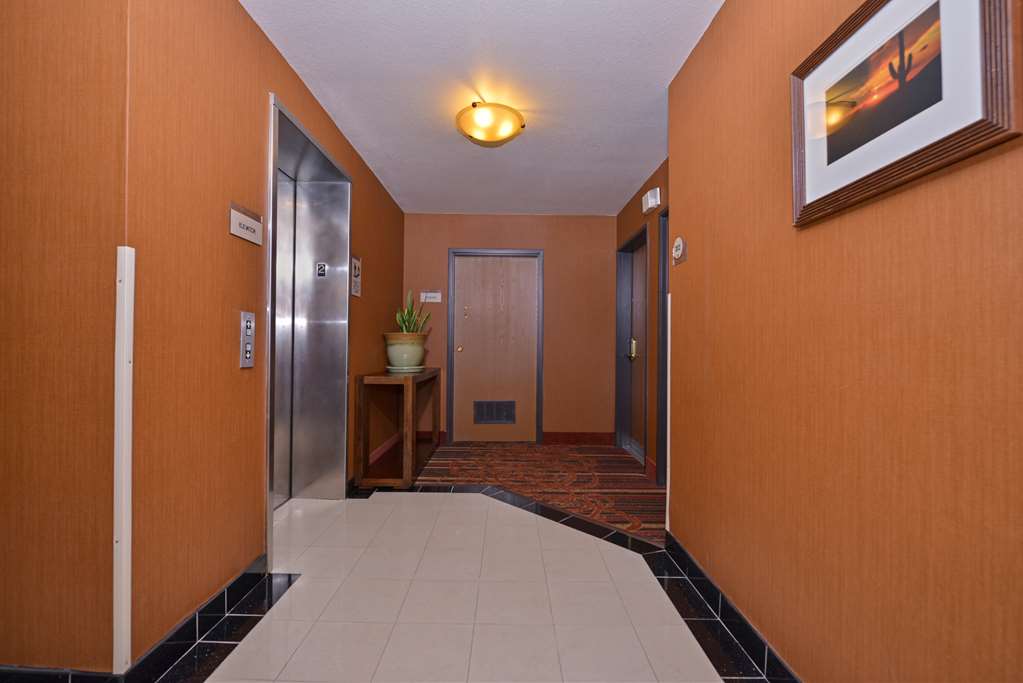 best western gold poppy inn