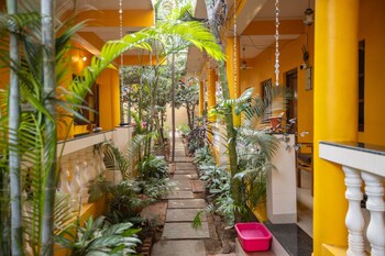 moonlight resorts agonda