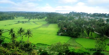 tuy hoa
