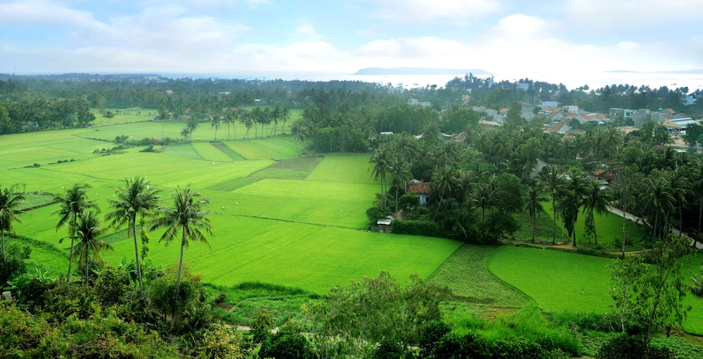 tuy hoa