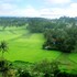 tuy hoa