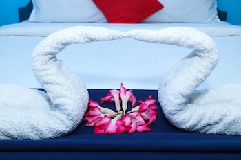 dolphin beach guest house