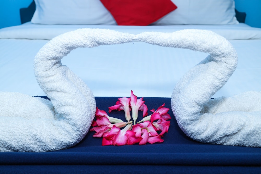 dolphin beach guest house