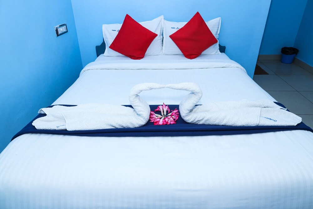 dolphin beach guest house