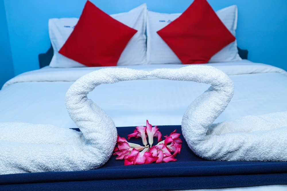 dolphin beach guest house