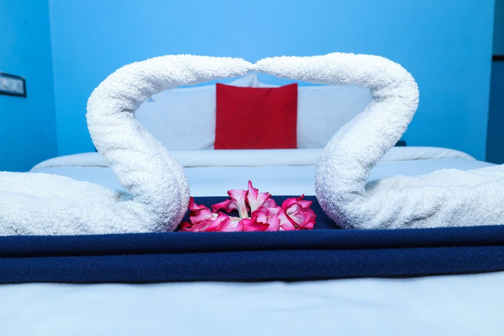 dolphin beach guest house