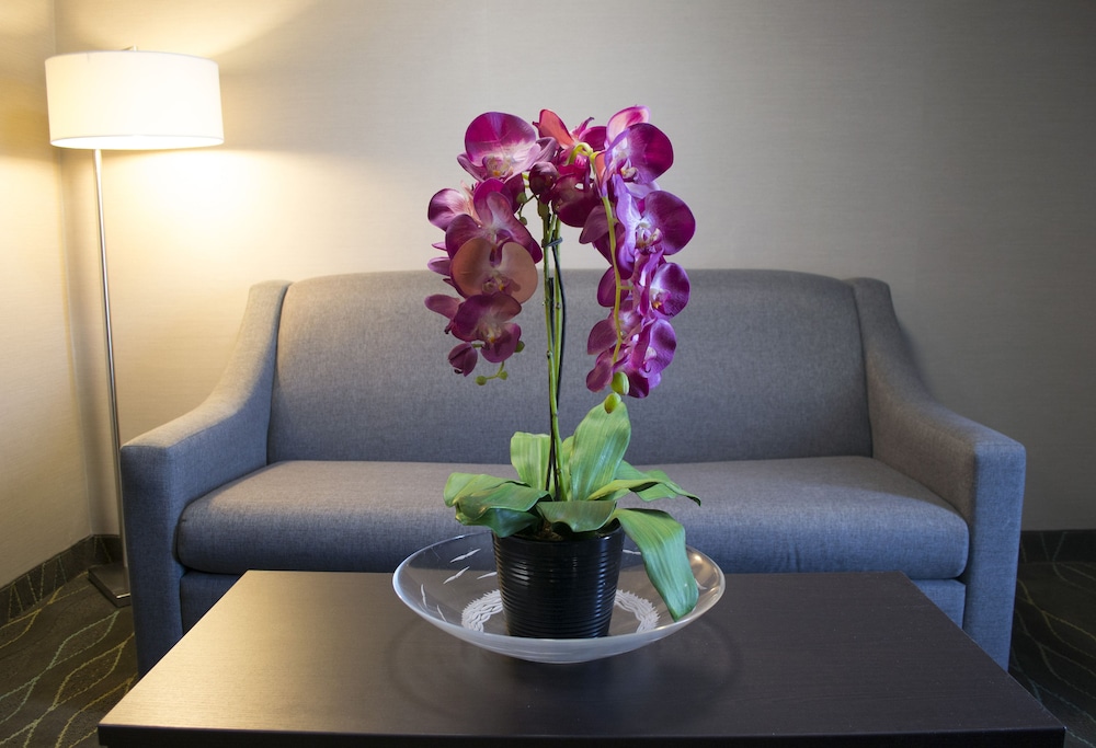 holiday inn sudbury by ihg