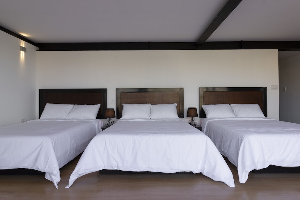 el doce by homi rent