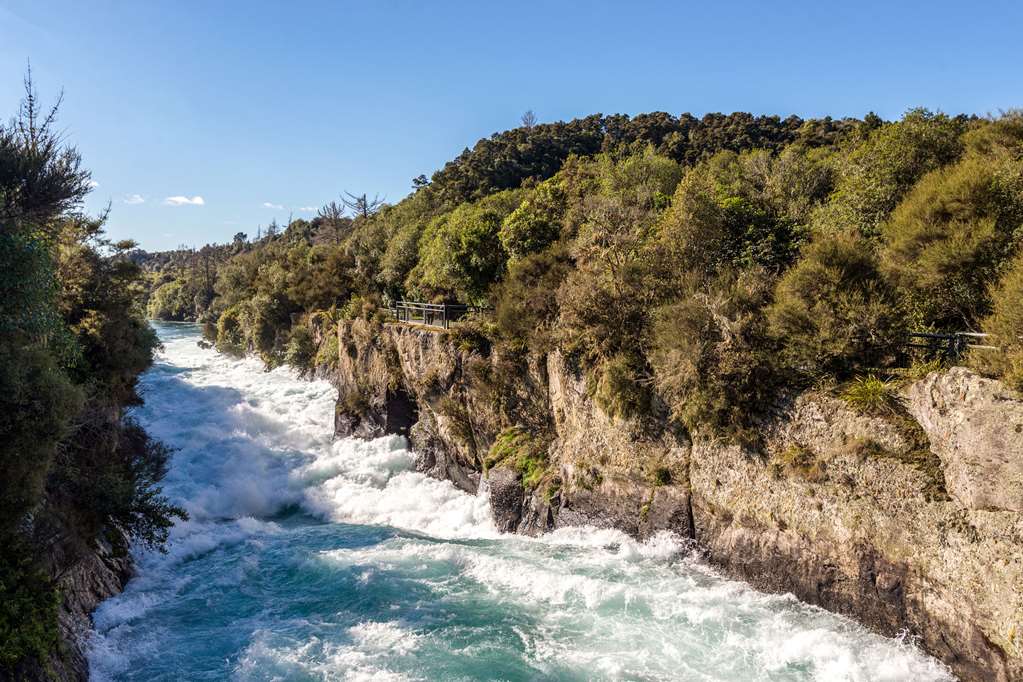 taupo