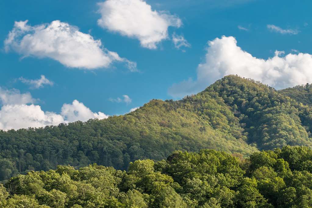 best western smoky mountain inn