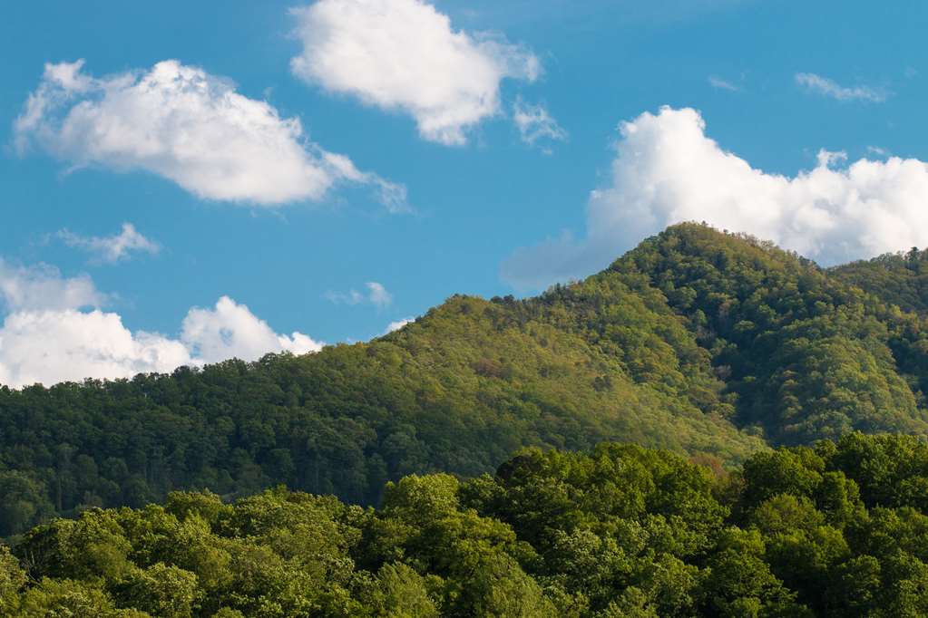 best western smoky mountain inn