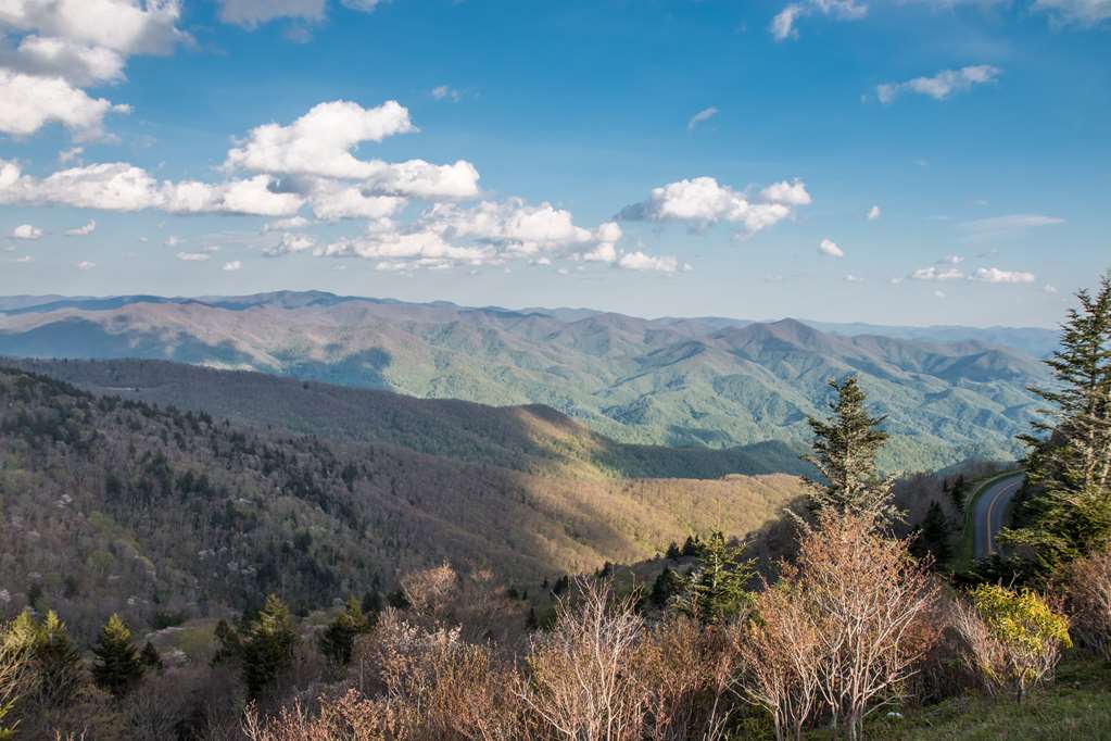 best western smoky mountain inn