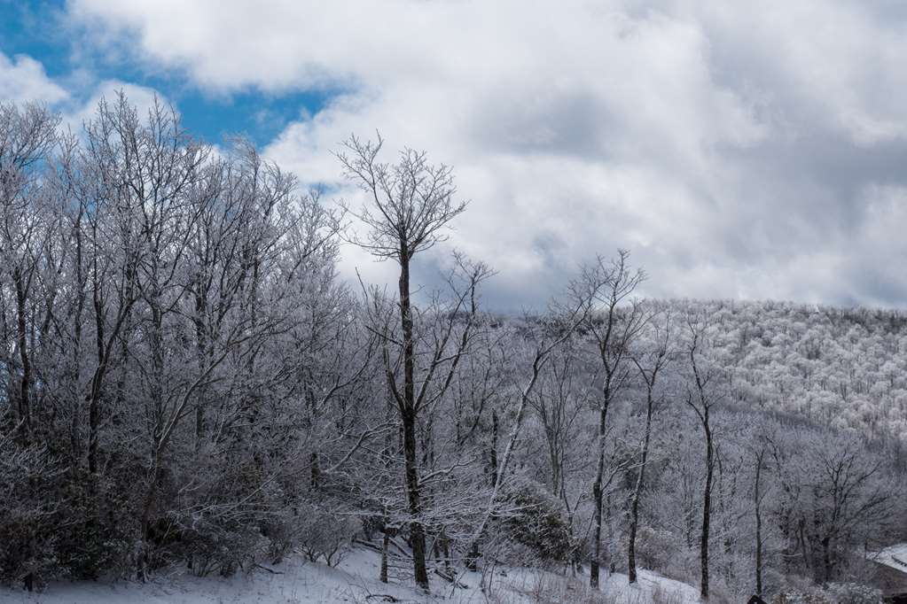 best western smoky mountain inn