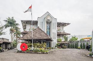 capital o 874 hotel nyland pasteur