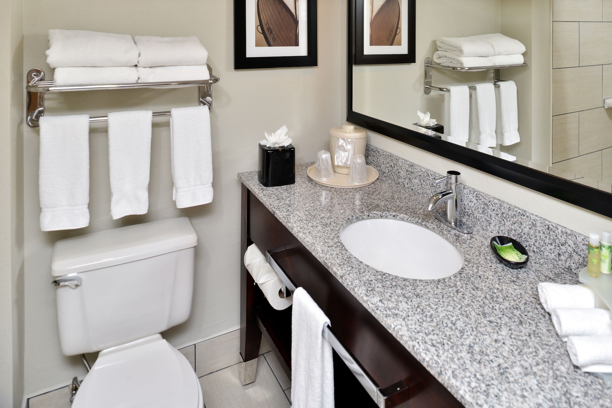 holiday inn express and suites tampa airport