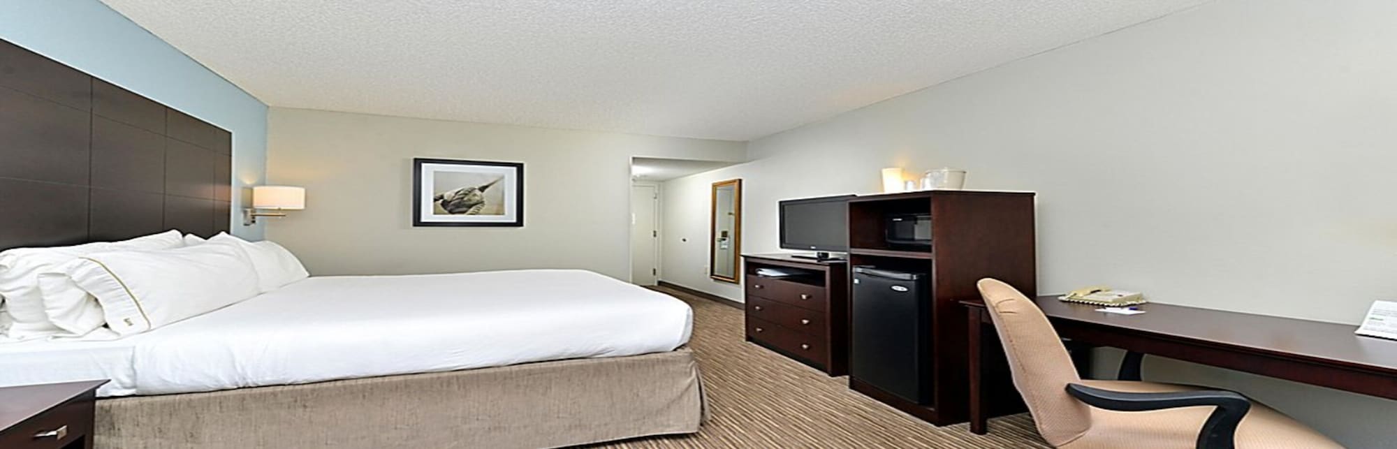 holiday inn express and suites tampa airport