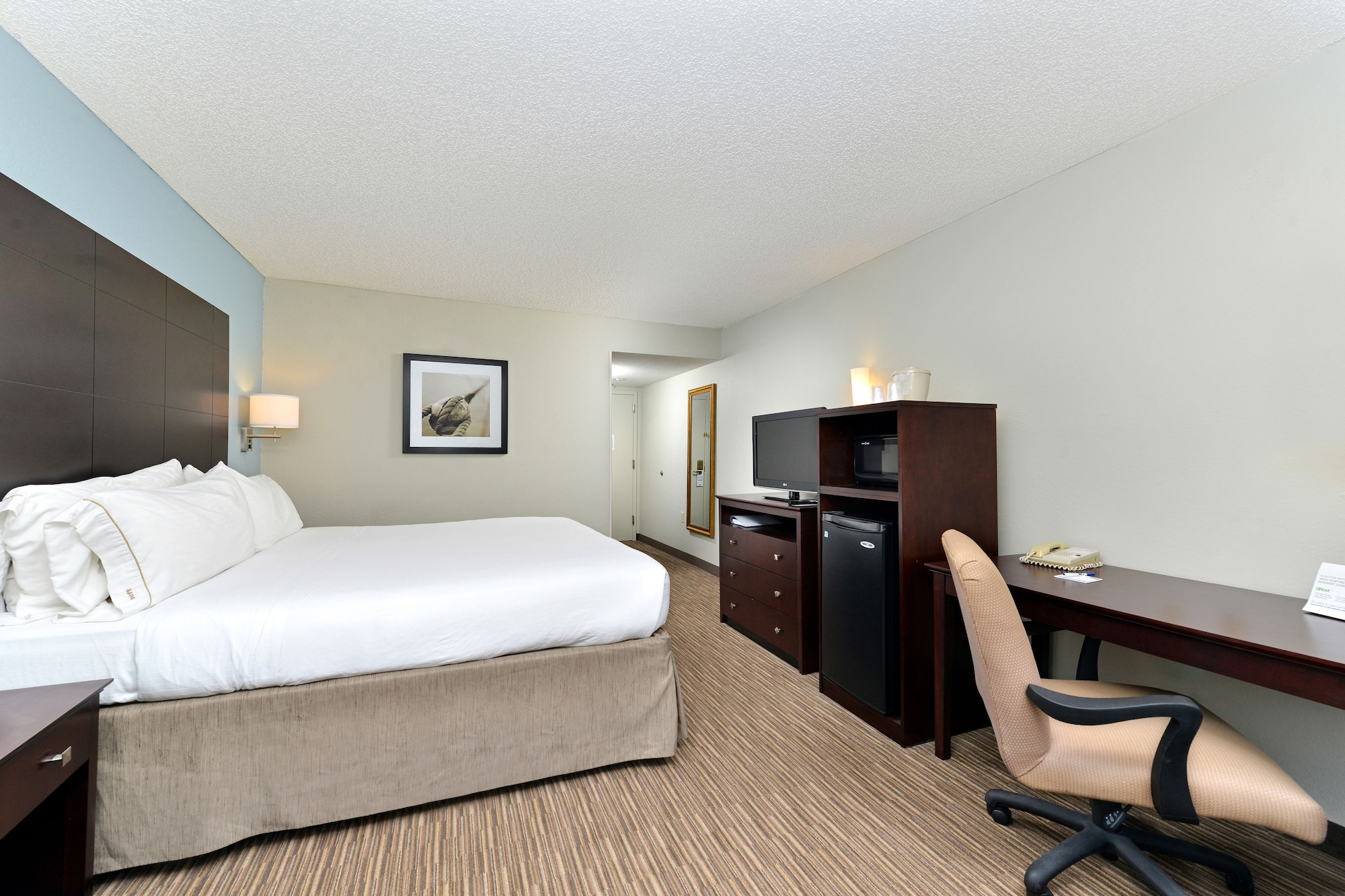 holiday inn express and suites tampa airport