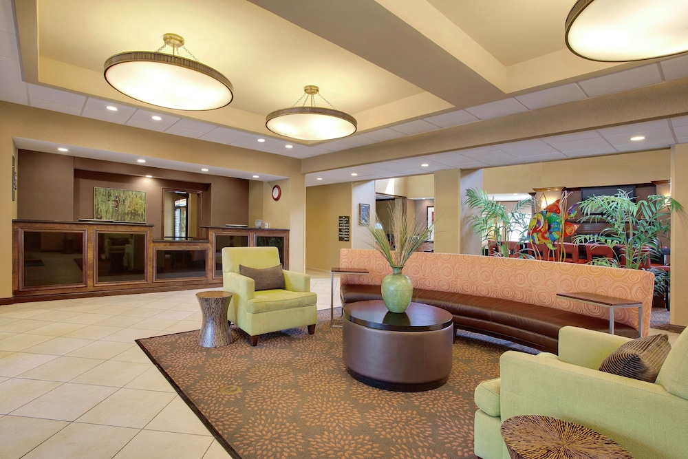 homewood suites by hilton tampa brandon