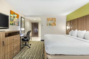 best western plus new englander