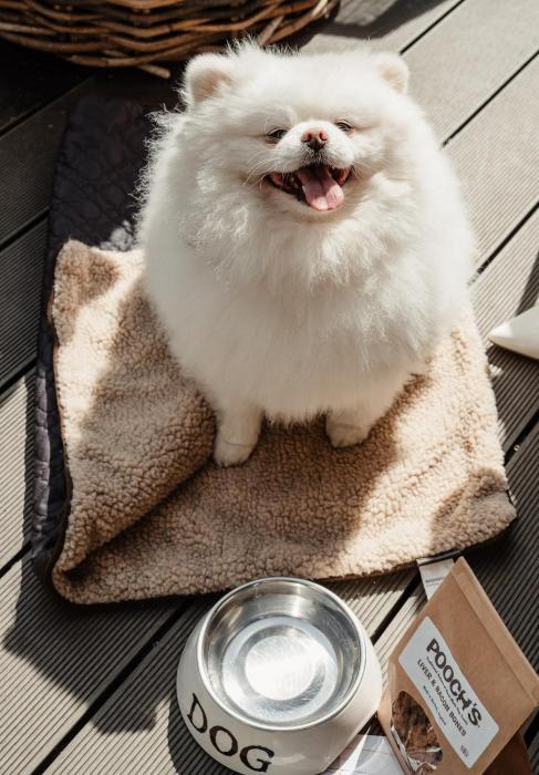 no 1 by guesthouse york