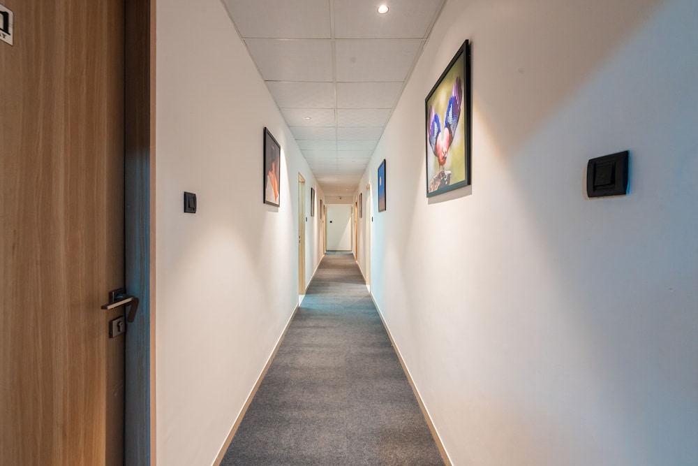 treebo trend cocostay