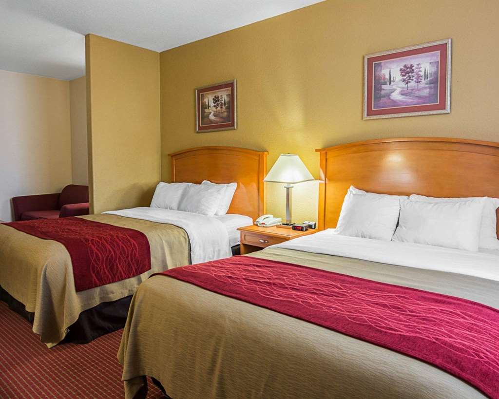 comfort inn and suites chesapeake portsmouth