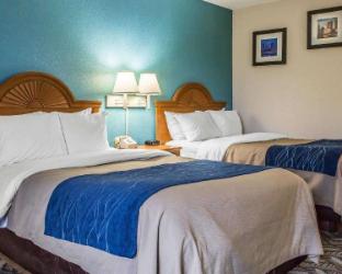 quality inn and suites
