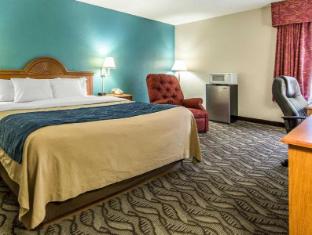 quality inn and suites