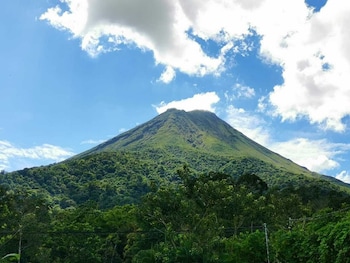 hotel palmera real hot springs