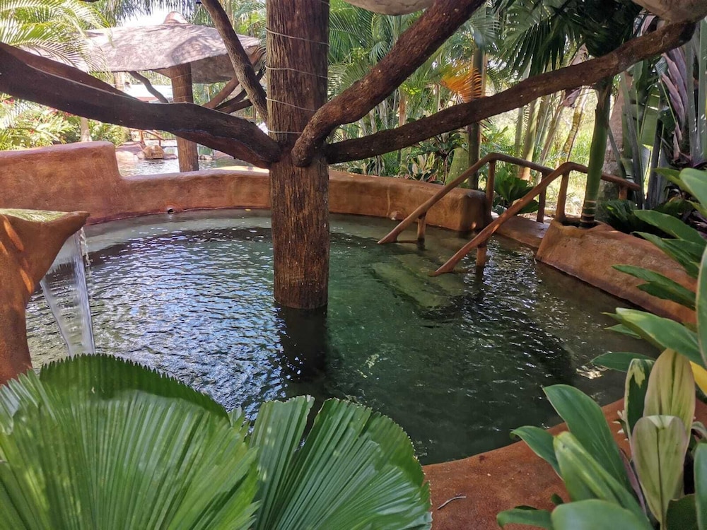 hotel palmera real hot springs