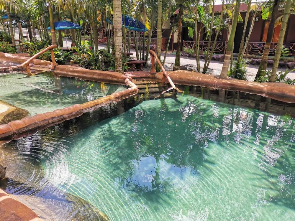 hotel palmera real hot springs