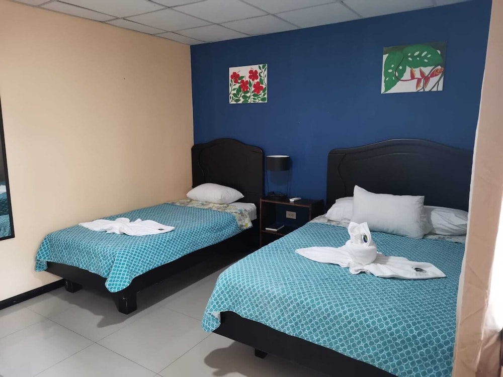 hotel palmera real hot springs