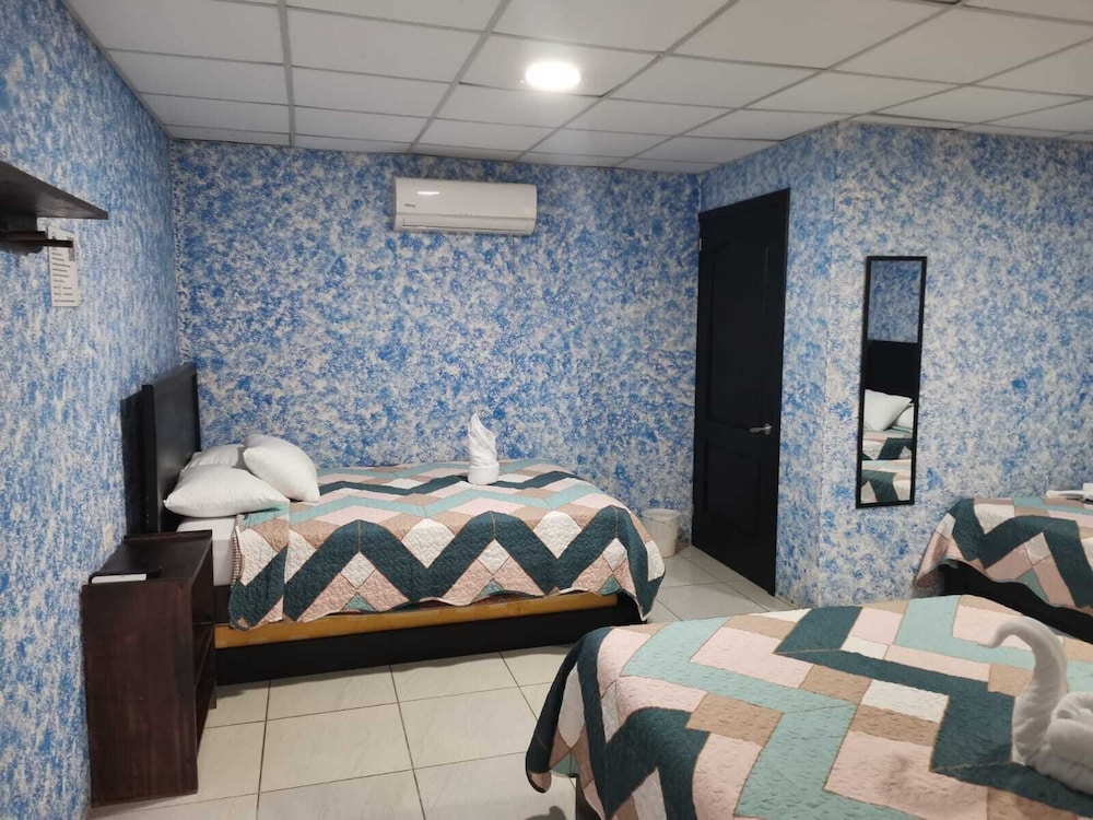 hotel palmera real hot springs